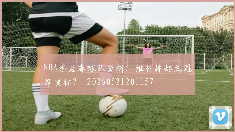 NBA季后赛球队分析：谁将捧起总冠军奖杯？_20260521201157